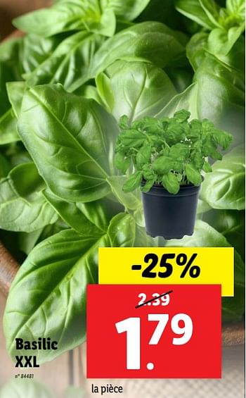 Promotions Basilic xxl - Produit maison - Lidl - Valide de 18/09/2024 à 24/09/2024 chez Lidl