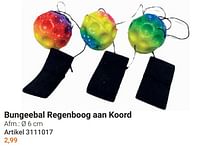 Bungeebal regenboog aan koord-Huismerk - Lobbes