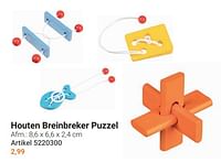 Houten breinbreker puzzel-Goki