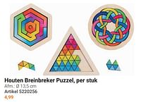 Houten breinbreker puzzel-Goki