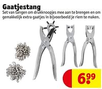 Gaatjestang-Huismerk - Kruidvat