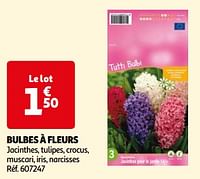 Bulbes à fleurs-Huismerk - Auchan