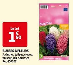 Bulbes à fleurs