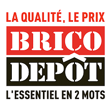 Brico Depot Logo