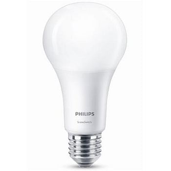 Promoties Philips LED-lamp ‘A67’ 14 W - Philips - Geldig van 13/06/2018 tot 28/06/2018 bij Brico