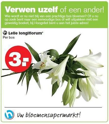 Aanbiedingen Lelie longiflorum - Huismerk - Hoogvliet - Geldig van 09/07/2014 tot 15/07/2014 bij Hoogvliet
