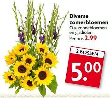 Aanbiedingen Diverse zomerbloemen - Huismerk - Deka Markt - Geldig van 20/07/2014 tot 26/07/2014 bij Deka Markt