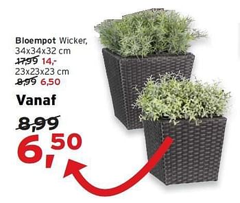 Aanbiedingen Bloempot wicker - Huismerk - Leen Bakker - Geldig van 20/07/2014 tot 02/08/2014 bij Leen Bakker