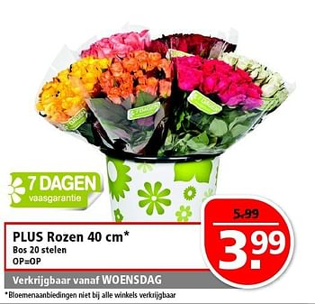 Aanbiedingen Plus rozen 40 cm - Huismerk - Plus - Geldig van 20/07/2014 tot 28/07/2014 bij Plus