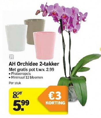 Aanbiedingen Ah orchidee 2-takker - Huismerk - Albert Heijn - Geldig van 21/07/2014 tot 27/07/2014 bij Albert Heijn