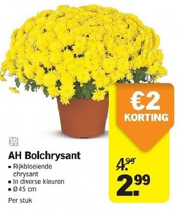 Aanbiedingen Ah bolchrysant - Huismerk - Albert Heijn - Geldig van 21/07/2014 tot 27/07/2014 bij Albert Heijn