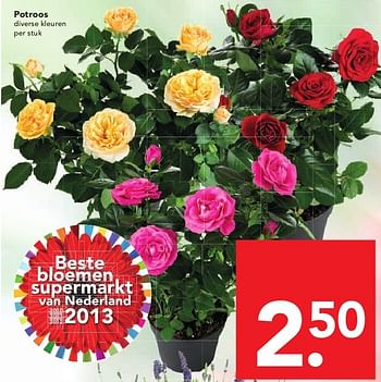 Aanbiedingen Potroos diverse kleuren - Huismerk deen supermarkt - Geldig van 03/08/2014 tot 09/08/2014 bij Deen Supermarkten