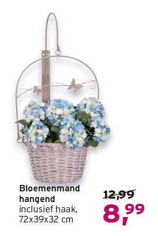 Aanbiedingen Bloemenmand hangend - Huismerk - Leen Bakker - Geldig van 03/08/2014 tot 16/08/2014 bij Leen Bakker