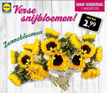 Aanbiedingen Zonnebloemen - Huismerk - Lidl - Geldig van 07/08/2014 tot 09/08/2014 bij Lidl