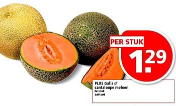 Aanbiedingen Plus galia of cantaloupe meloen - Huismerk - Plus - Geldig van 10/08/2014 tot 16/08/2014 bij Plus