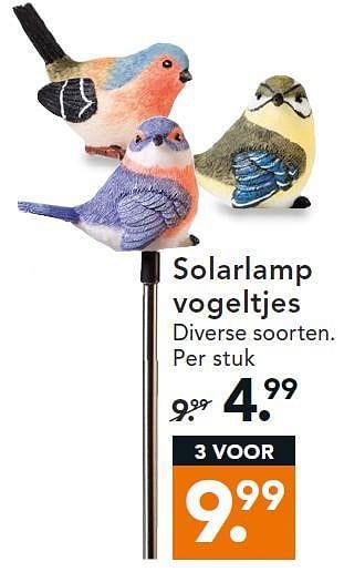 Aanbiedingen Solarlamp vogeltjes - Huismerk - Blokker - Geldig van 11/08/2014 tot 20/08/2014 bij Blokker