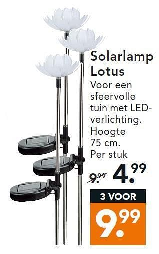 Aanbiedingen Solarlamp lotus - Huismerk - Blokker - Geldig van 11/08/2014 tot 20/08/2014 bij Blokker