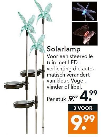 Aanbiedingen Solarlamp - Huismerk - Blokker - Geldig van 11/08/2014 tot 20/08/2014 bij Blokker