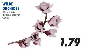 Aanbiedingen Wilde orchidee - Huismerk - Action - Geldig van 13/08/2014 tot 14/09/2014 bij Action