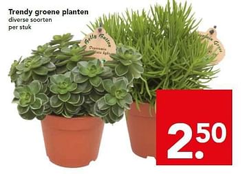 Aanbiedingen Trendy groene planten - Huismerk deen supermarkt - Geldig van 17/08/2014 tot 23/08/2014 bij Deen Supermarkten