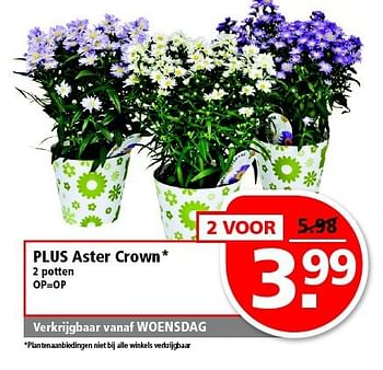 Aanbiedingen Plus aster crown - Huismerk - Plus - Geldig van 07/09/2014 tot 13/09/2014 bij Plus