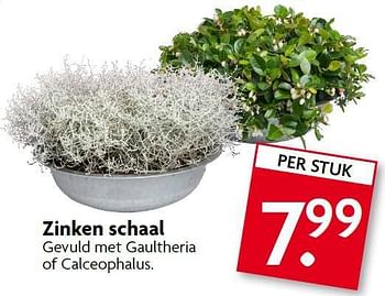 Aanbiedingen Zinken schaal gevuld met gaultheria of calceophalus - Huismerk - Deka Markt - Geldig van 07/09/2014 tot 13/09/2014 bij Deka Markt