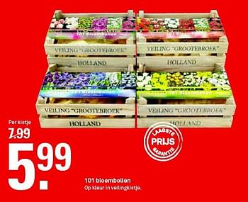 Aanbiedingen 101 bloembollen op kleur in veilingkistje - Huismerk Karwei - Geldig van 07/09/2014 tot 13/09/2014 bij Karwei