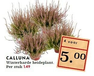 Aanbiedingen Calluna winterharde heideplant - Huismerk - Deka Markt - Geldig van 21/09/2014 tot 27/09/2014 bij Deka Markt