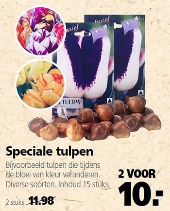 Aanbiedingen Speciale tulpen 2 voor - Huismerk - Welkoop - Geldig van 22/09/2014 tot 03/10/2014 bij Welkoop