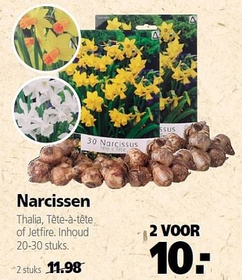 Aanbiedingen Narcissen thalia, tête-à-tête of jetfire. inhoud 2 voor - Huismerk - Welkoop - Geldig van 22/09/2014 tot 03/10/2014 bij Welkoop