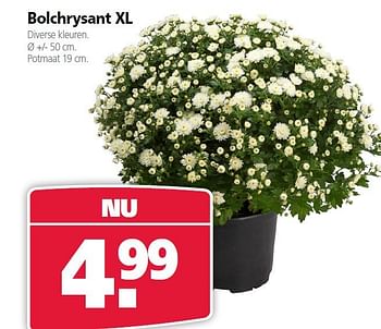 Aanbiedingen Bolchrysant xl - Huismerk- Boerenbond - Geldig van 22/09/2014 tot 03/10/2014 bij Boerenbond