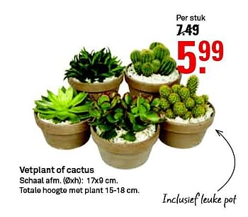 Aanbiedingen Vetplant of cactus - Huismerk Karwei - Geldig van 28/09/2014 tot 04/10/2014 bij Karwei