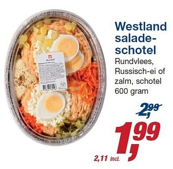 Aanbiedingen Westland saladeschotel rundvlees, russisch-ei of zalm, schotel - westland - Geldig van 22/10/2014 tot 04/11/2014 bij Makro