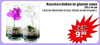 Aanbiedingen Kunstorchidee in glazen vaas - Huismerk - Trekpleister - Geldig van 28/10/2014 tot 09/11/2014 bij Trekpleister