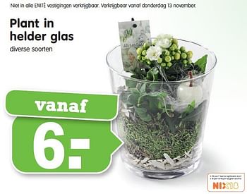 Aanbiedingen Plant in helder glas - Huismerk - Em-té - Geldig van 09/11/2014 tot 15/11/2014 bij Em-té