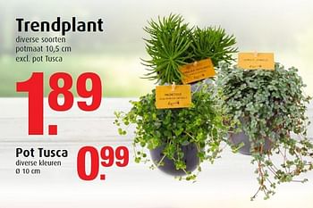 Aanbiedingen Trendplant - Huismerk - Tuincentrum Overvecht - Geldig van 03/11/2014 tot 16/11/2014 bij Tuincentrum Overvecht