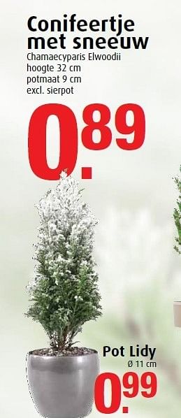 Aanbiedingen Conifeertje met sneeuw chamaecyparis elwoodii - Huismerk - Tuincentrum Overvecht - Geldig van 05/12/2014 tot 31/12/2014 bij Tuincentrum Overvecht