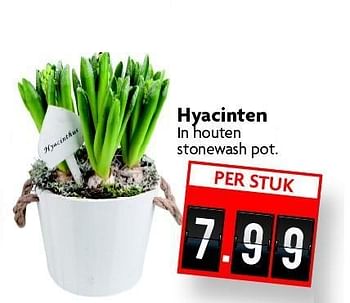 Aanbiedingen Hyacinten in houten stonewash pot - Huismerk - Deka Markt - Geldig van 28/12/2014 tot 03/01/2015 bij Deka Markt