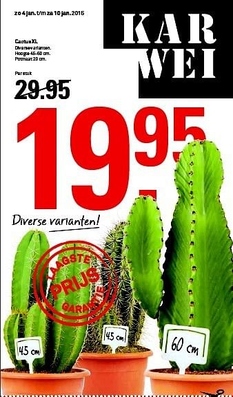 Aanbiedingen Cactus xl diverse varianten - Huismerk Karwei - Geldig van 04/01/2015 tot 10/01/2015 bij Karwei