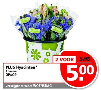 Aanbiedingen Plus hyacinten - Huismerk - Plus - Geldig van 25/01/2015 tot 31/01/2015 bij Plus