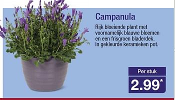 Aanbiedingen Campanula rijk bloeiende plant met voornamelijk blauwe bloemen - Huismerk - Aldi - Geldig van 18/02/2015 tot 24/02/2015 bij Aldi