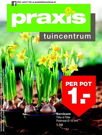 Aanbiedingen Narcissen tête-á-tête - Huismerk - Praxis - Geldig van 16/02/2015 tot 22/02/2015 bij Praxis