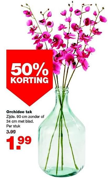 Aanbiedingen Orchidee tak - Huismerk - Praxis - Geldig van 16/02/2015 tot 22/02/2015 bij Praxis