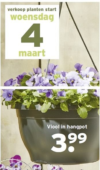 Aanbiedingen Viool in hangpot - Huismerk - Gamma - Geldig van 02/03/2015 tot 08/03/2015 bij Gamma