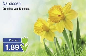 Aanbiedingen Narcissen - Huismerk - Aldi - Geldig van 18/03/2015 tot 24/03/2015 bij Aldi