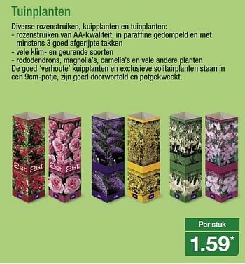 Aanbiedingen Tuinplanten diverse rozenstruiken - Huismerk - Aldi - Geldig van 25/03/2015 tot 31/03/2015 bij Aldi