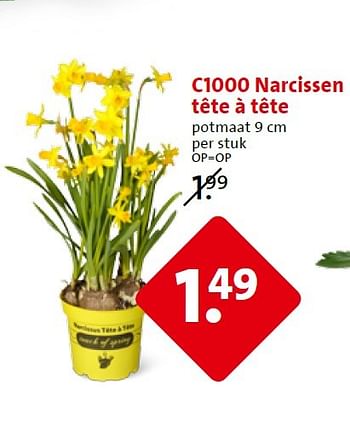 Aanbiedingen C1000 narcissen tête à tête - Huismerk - C1000 Supermarkten - Geldig van 25/03/2015 tot 31/03/2015 bij C1000