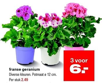 Aanbiedingen Franse geranium - Huismerk - Praxis - Geldig van 30/03/2015 tot 06/04/2015 bij Praxis