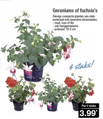 Aanbiedingen Geraniums of fuchsia`s - Huismerk - Aldi - Geldig van 15/04/2015 tot 21/04/2015 bij Aldi
