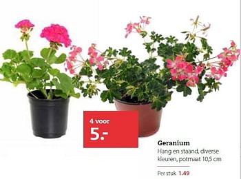 Aanbiedingen Geranium - Huismerk- Boerenbond - Geldig van 13/04/2015 tot 26/04/2015 bij Boerenbond